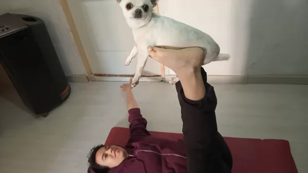 Agnès y animales 2019